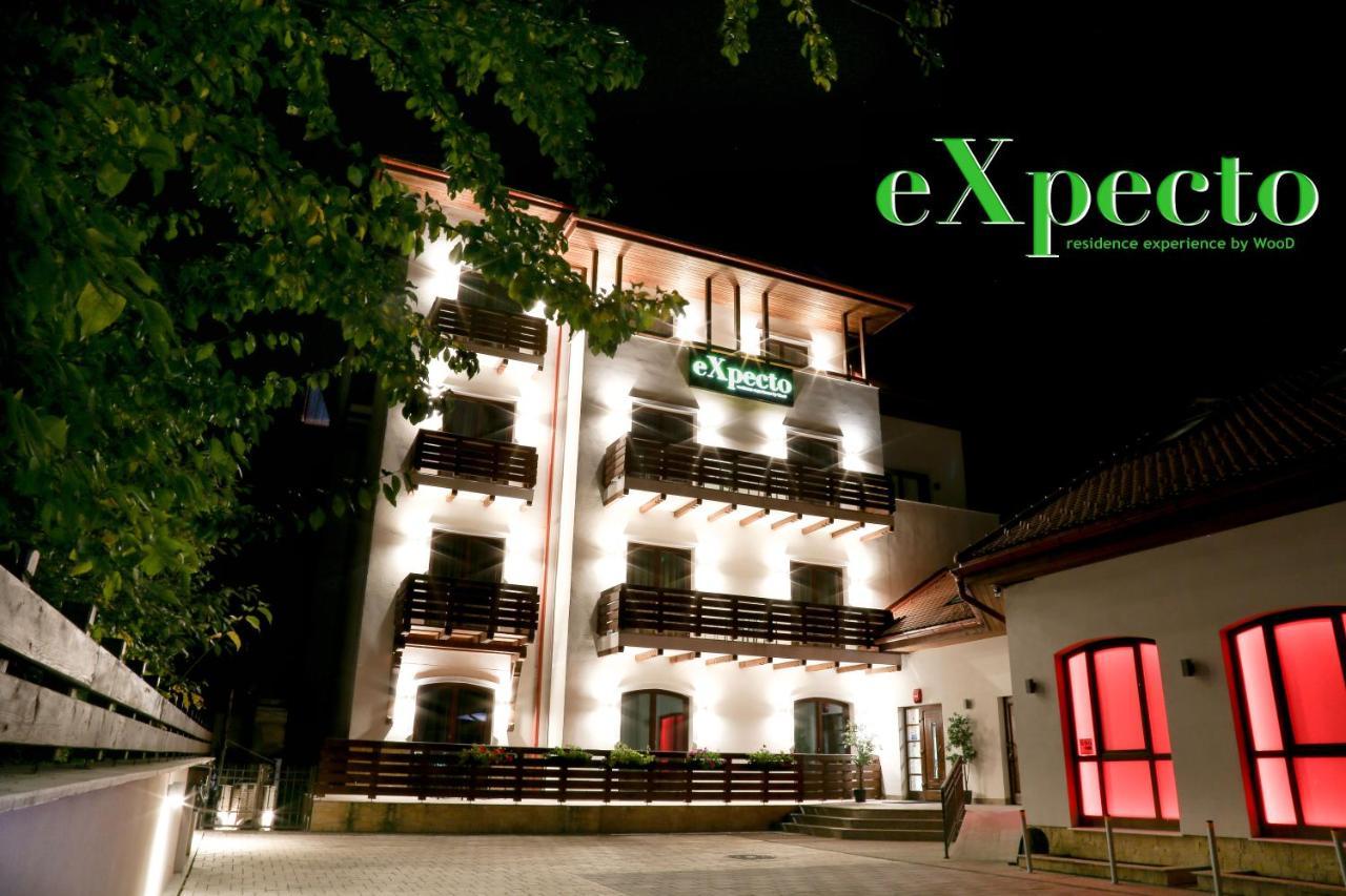 Expecto Apartments Sinaia Exterior photo